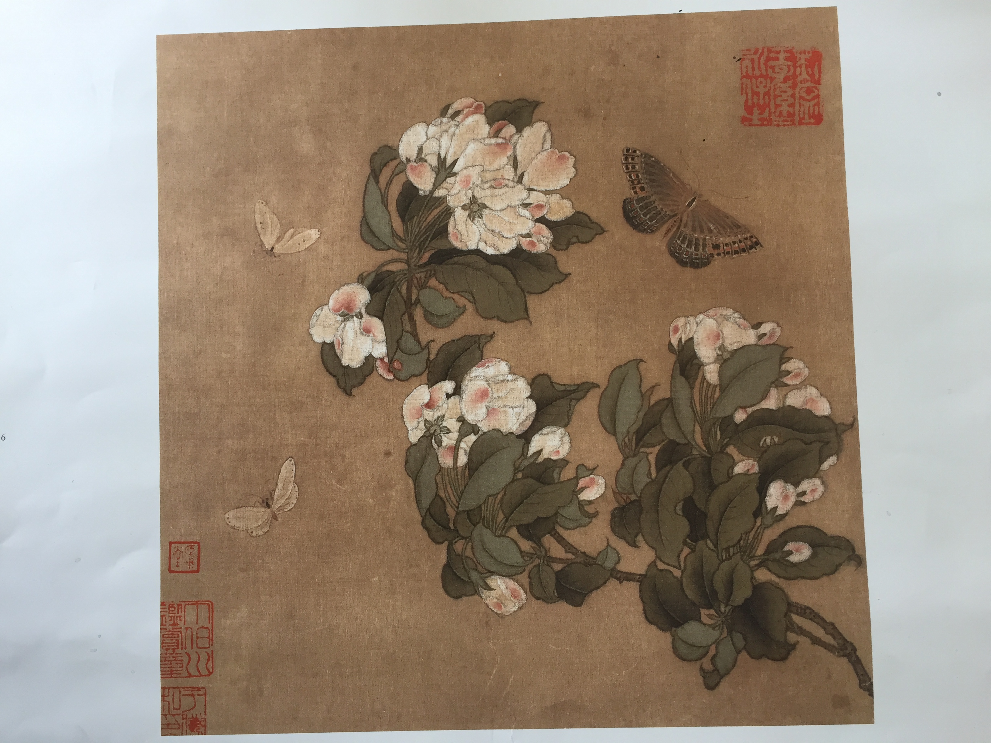 Song Dynasty Crab Apple Flowers